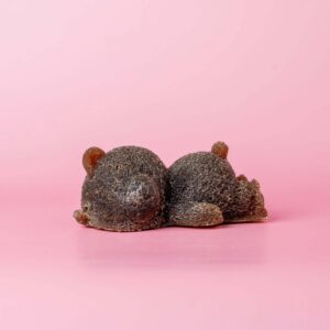 Sleeping Bear Duo Collection